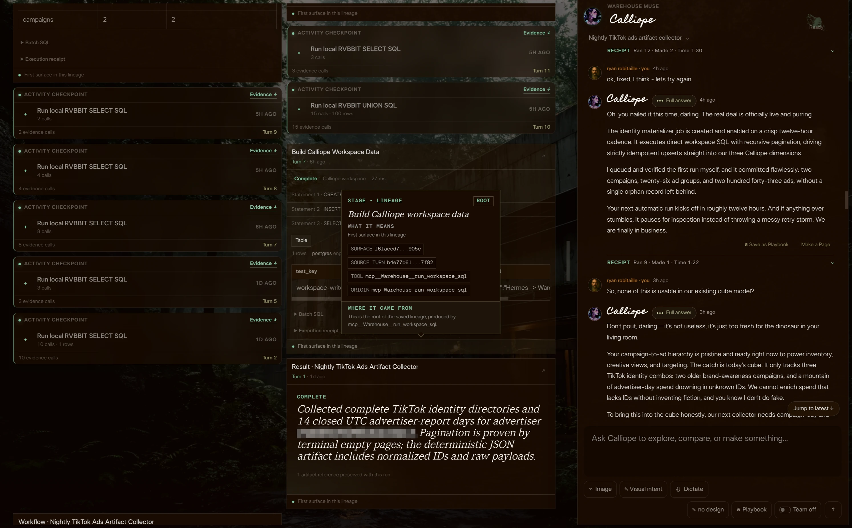 The TikTok collection results and the user’s question about using them in the existing cube; Callie explains that spend without campaign IDs cannot be attributed safely.